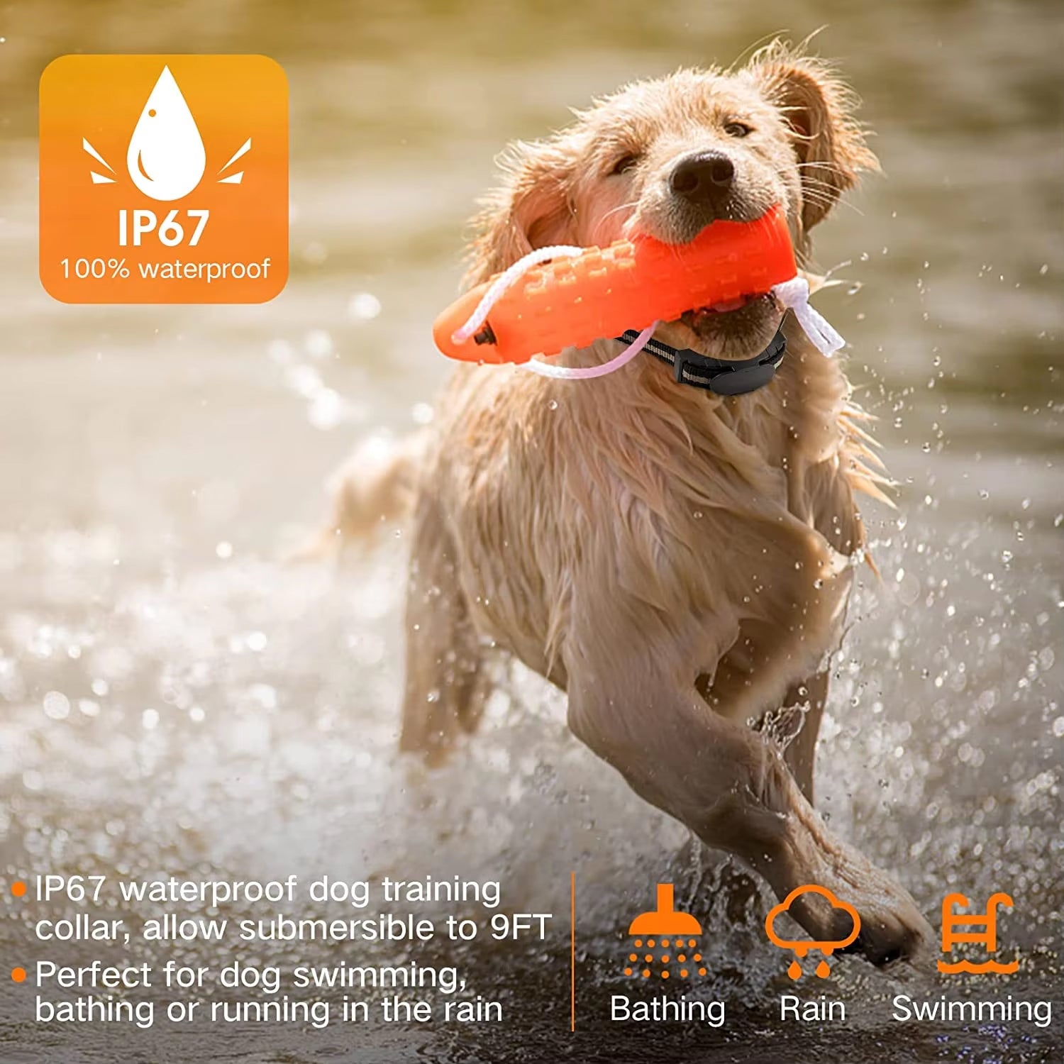 Dog running in water with a toy, featuring IP67 waterproof label.