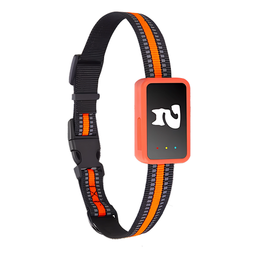 PawiSition Cat GPS Tracker with digital display and black and orange design on a white background