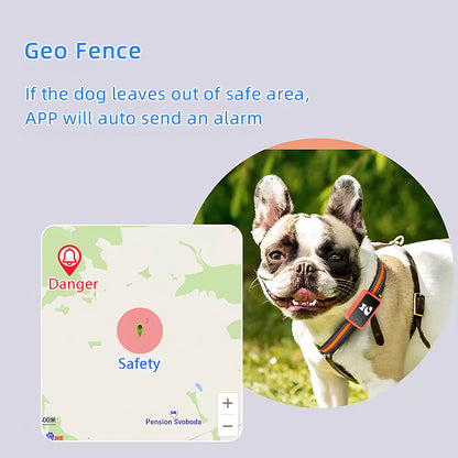 Dog wearing a PawiSition Cat GPS Tracker with a geo fence app interface on a light blue background