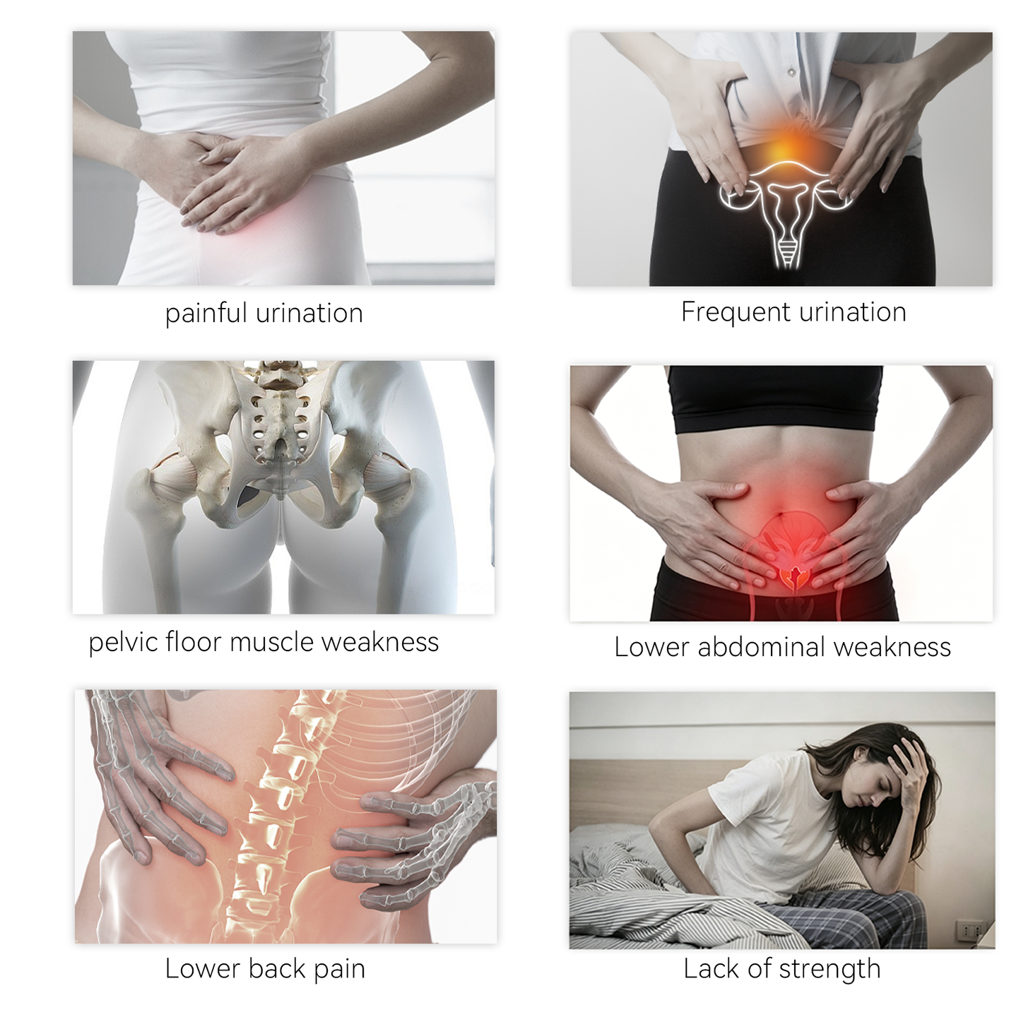 Illustrations showing various pelvic health issues with corresponding symptoms.