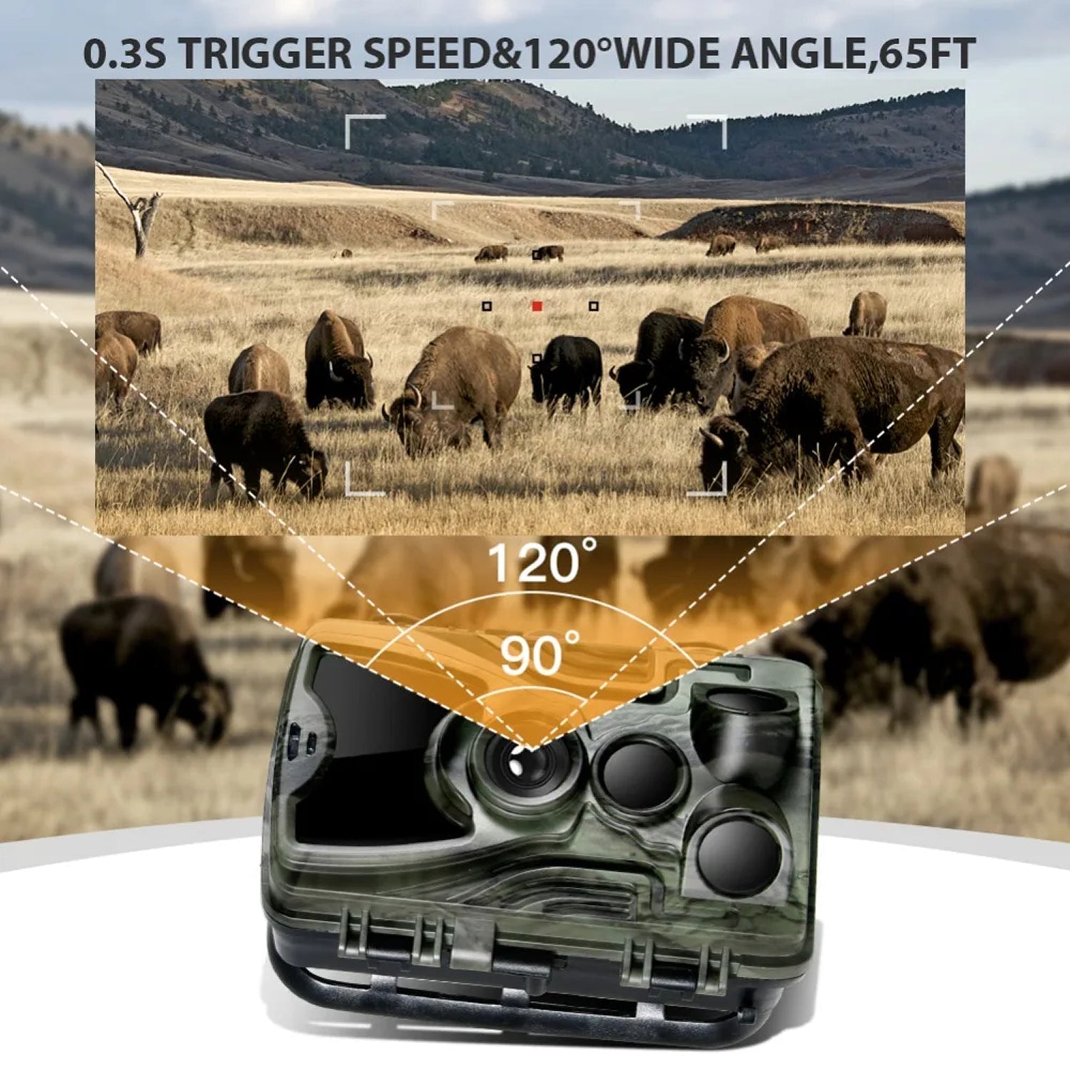 TrailyEye Trail Camera trap with bison in a field and specifications displayed