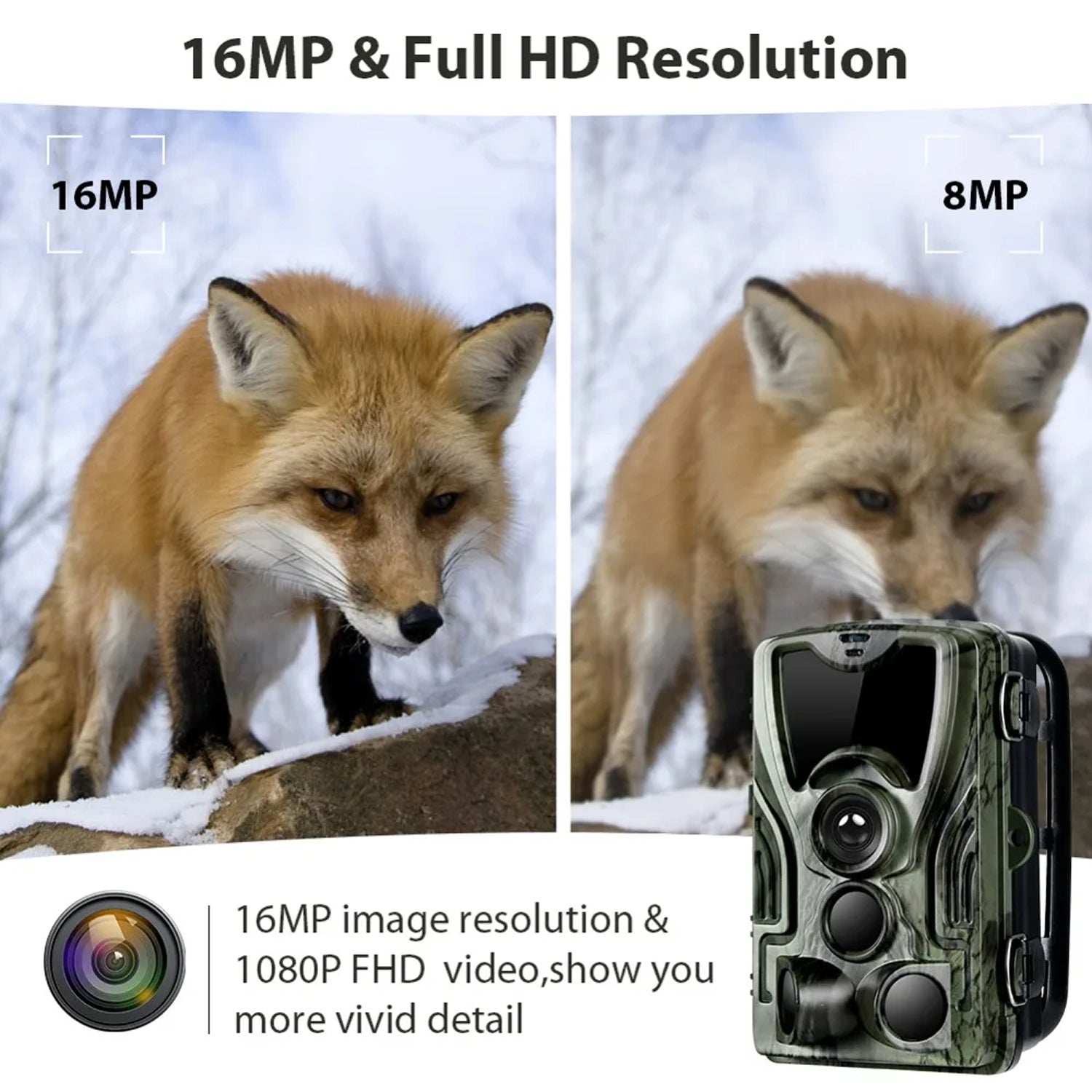 TrailyEye Trail Camera