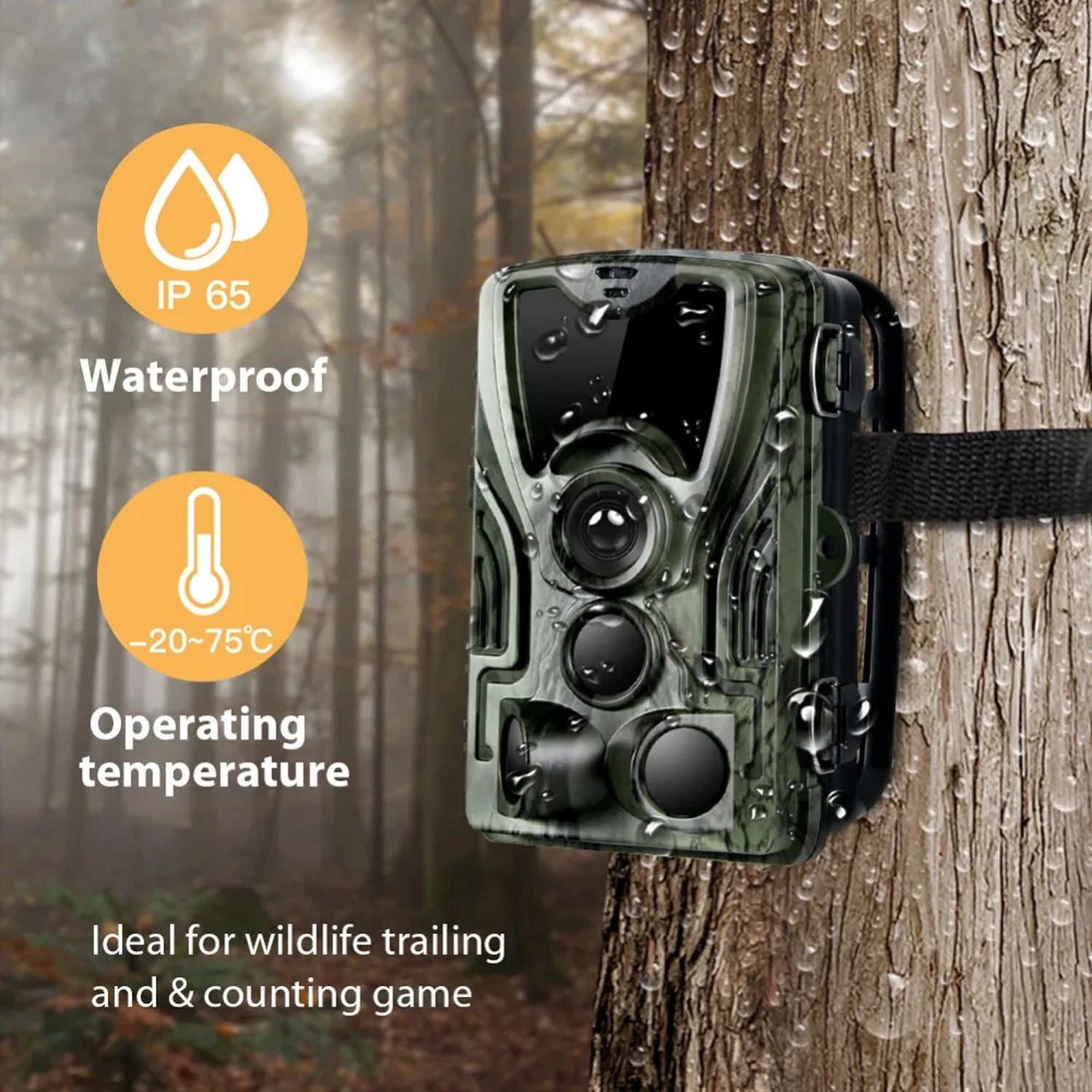 TrailyEye Trail Camera attached to a tree in a forest with waterproof and temperature range indicators.