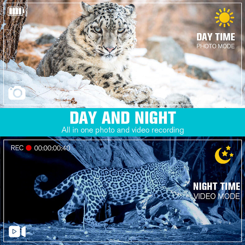 Snow leopard in day and night modes on a Valisus Night Vision Binoculars screen