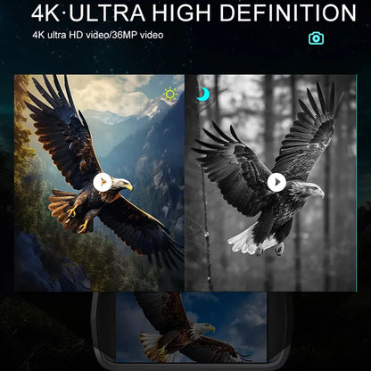 Eagle in flight with 4K ultra HD text overlay