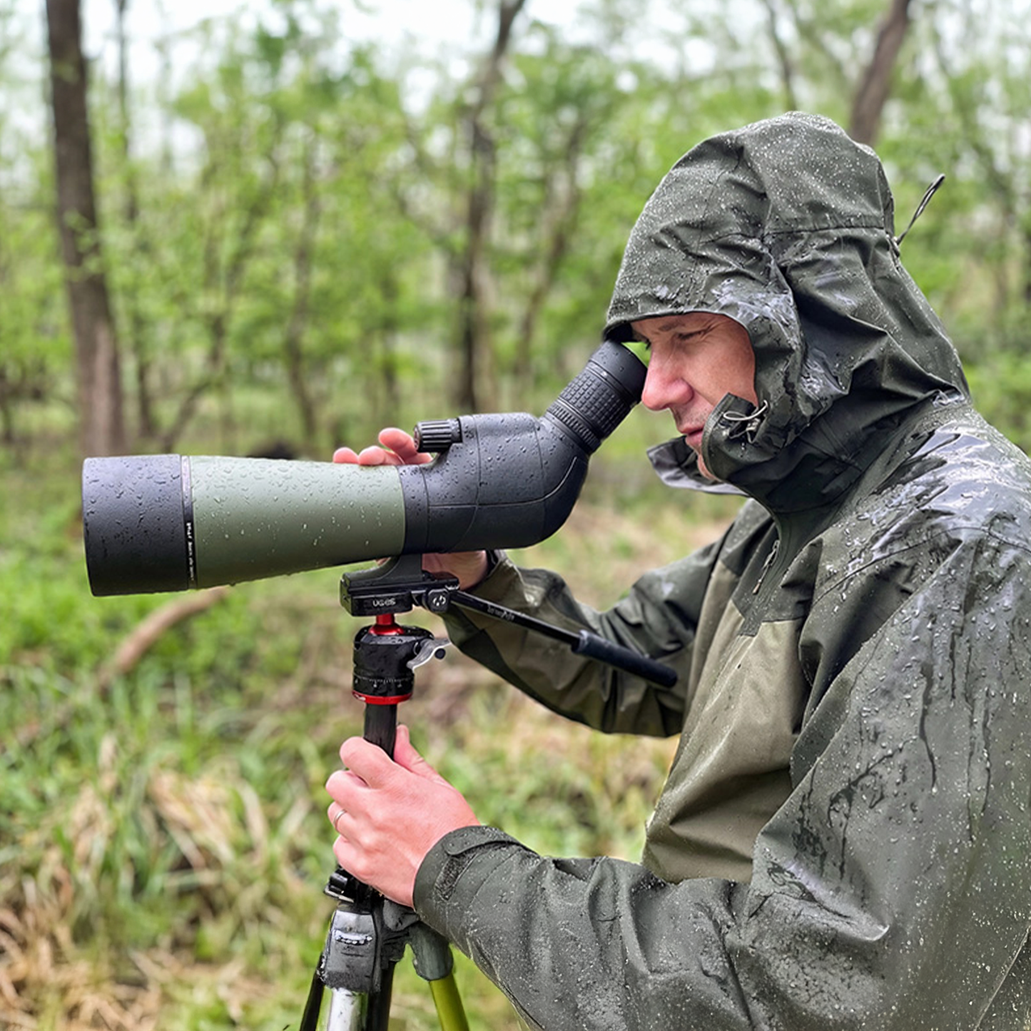 Person in a raincoat using a large Virelta Spotting Scope in a forest setting