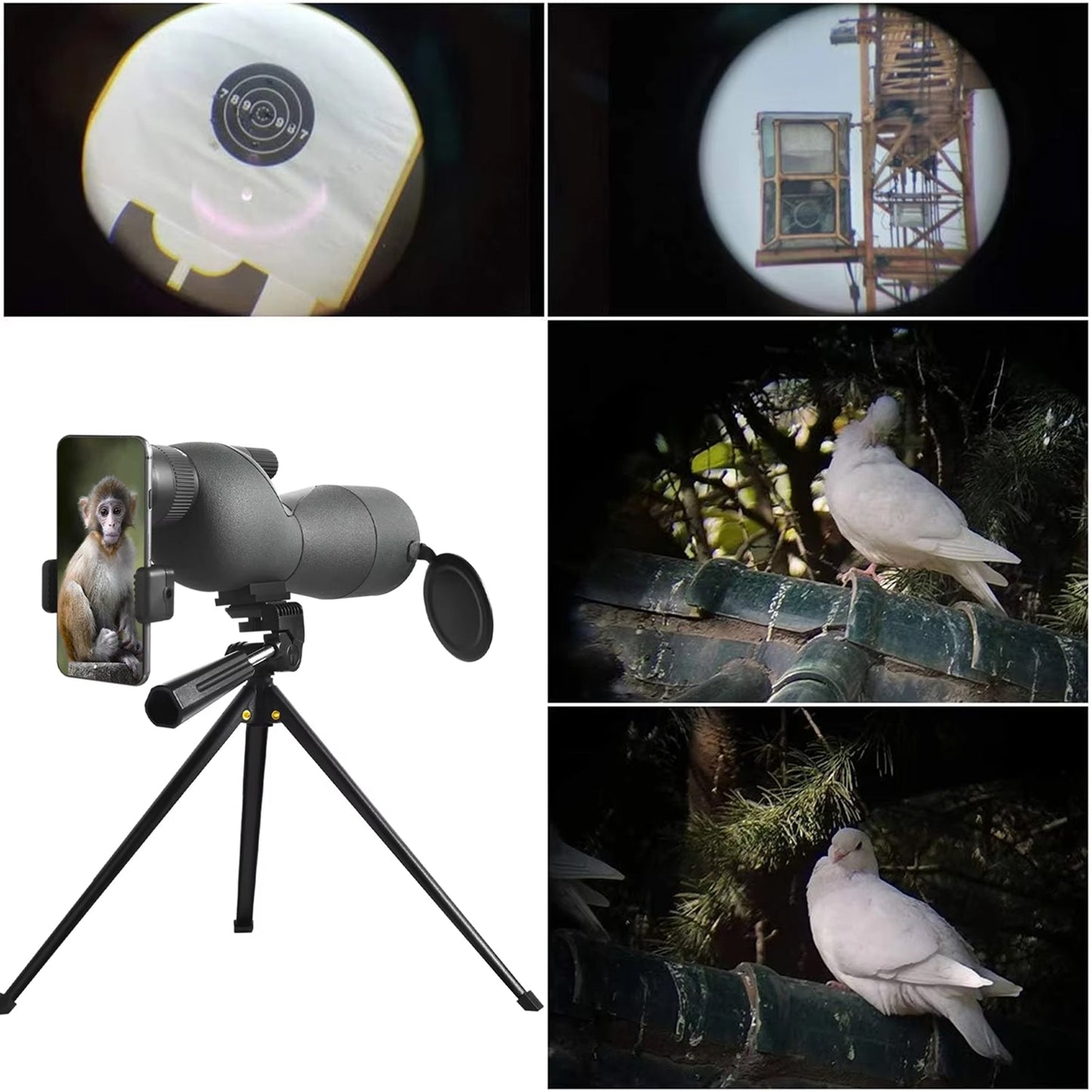 Collage of a night vision WildXplo Spotting Scope with smartphone attachment, birdwatching scene, and close-up of a bird.