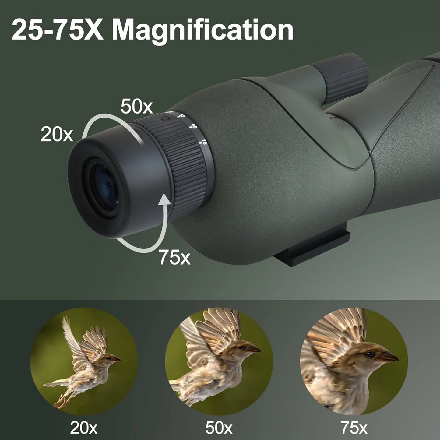 WildXplo Spotting Scope with magnification scale and close-up images of a bird at different magnifications on a green background.