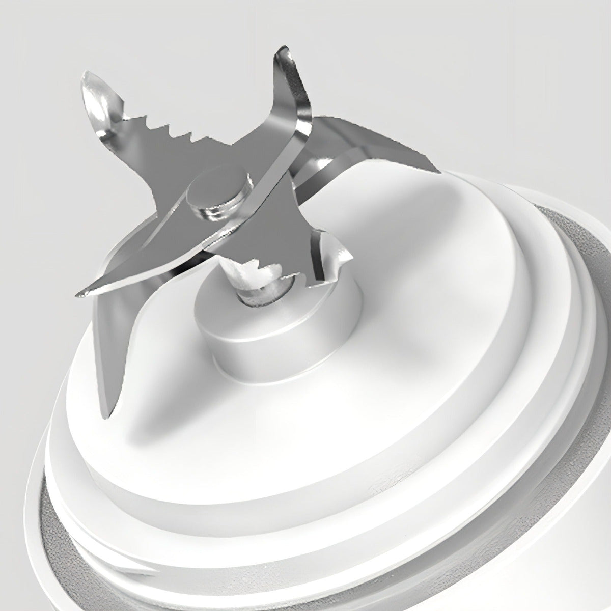 Lunaxon Portable Blender details