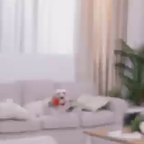 ObeTrainy Dog Training Collar