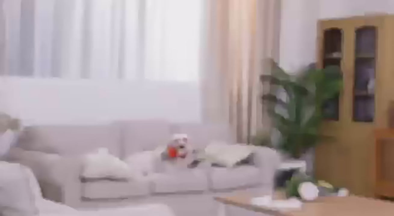 ObeTrainy Dog Training Collar