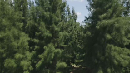 Vassco GPS 8K Drone